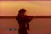 PDVD_015