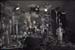 PDVD_037