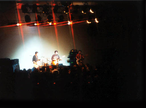 bravebulldark copy.jpg (27277 bytes)