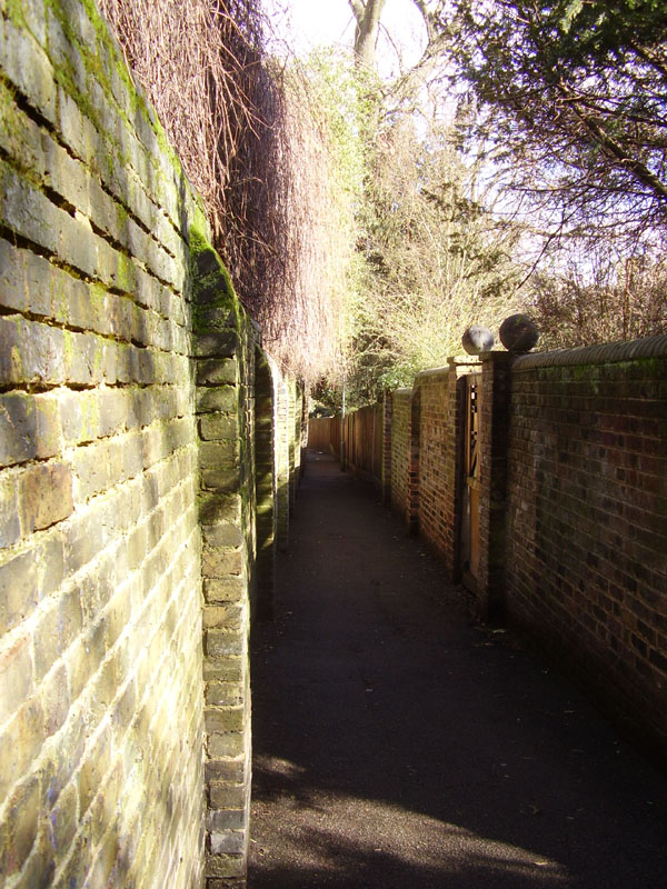 P3060065