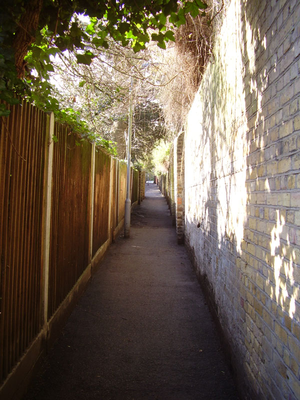 P3060066