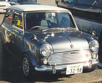 grey_mini